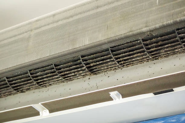 Best Commercial Air Duct Cleaning  in Union City, IN